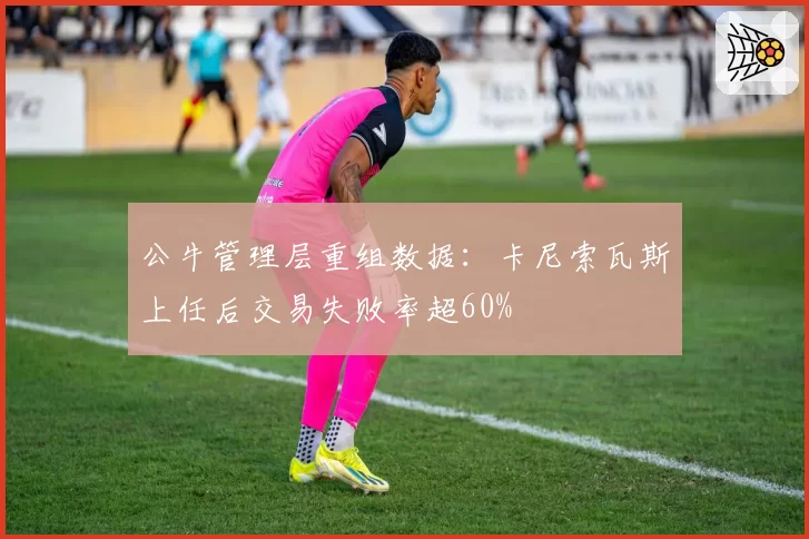 公牛管理层重组数据：卡尼索瓦斯上任后交易失败率超60%