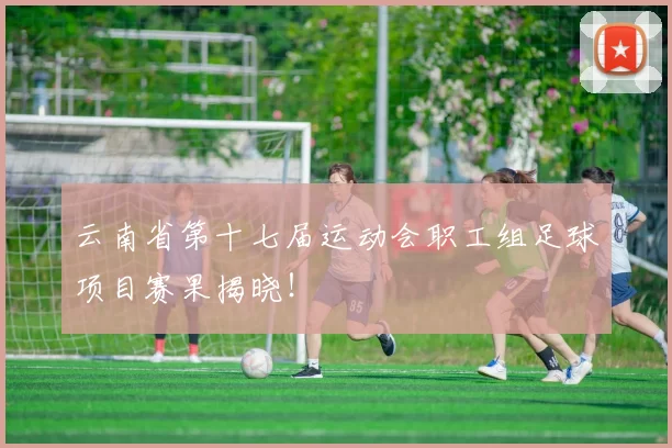 云南省第十七届运动会职工组足球项目赛果揭晓！